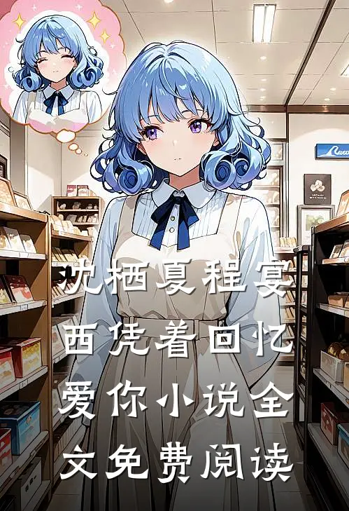 沈栖夏程宴西凭着回忆爱你小说全文免费阅读