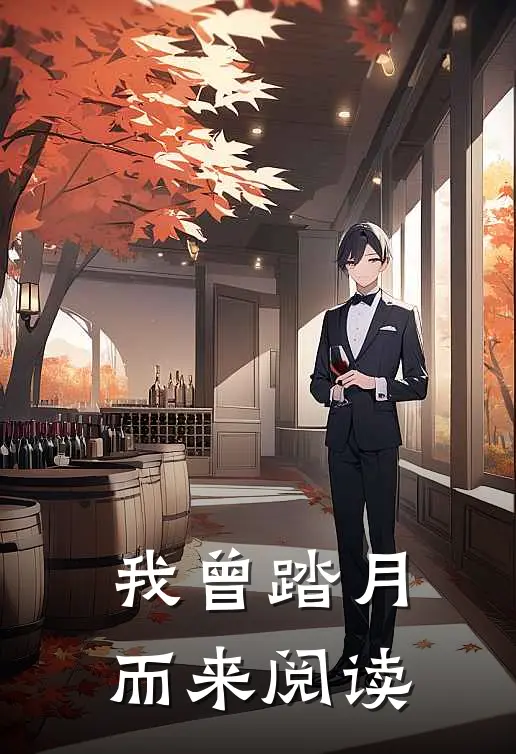 我曾踏月而来阅读