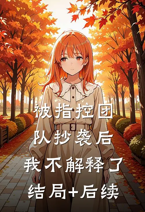 被指控团队抄袭后，我不解释了结局+后续