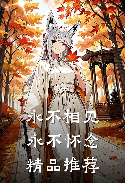 永不相见，永不怀念精品推荐