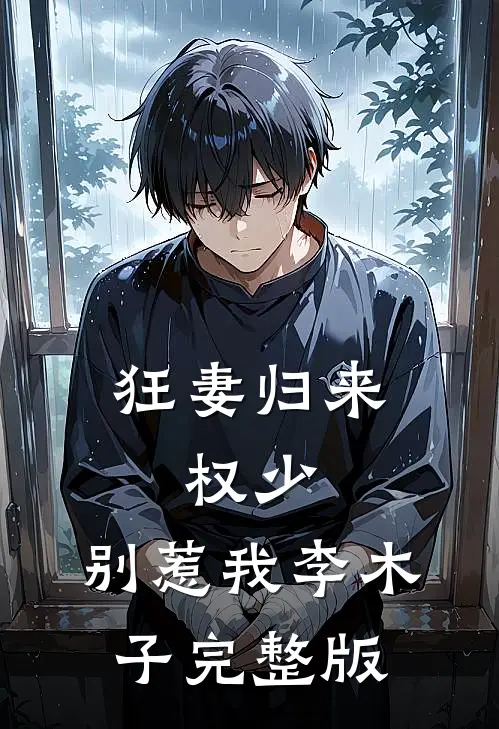 狂妻归来:权少,别惹我 李木子完整版