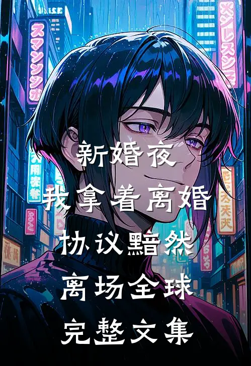 新婚夜，我拿着离婚协议黯然离场全球完整文集