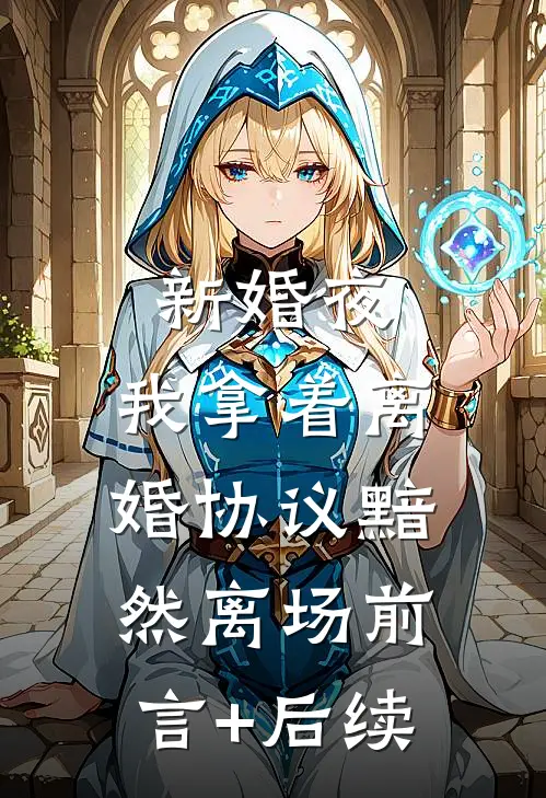 新婚夜，我拿着离婚协议黯然离场前言+后续