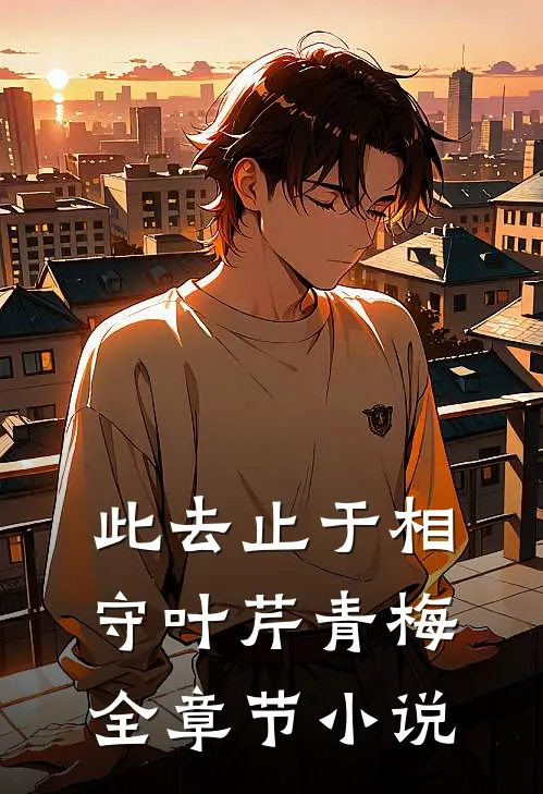 此去止于相守叶芹青梅全章节小说