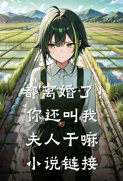 都离婚了！你还叫我夫人干嘛小说链接