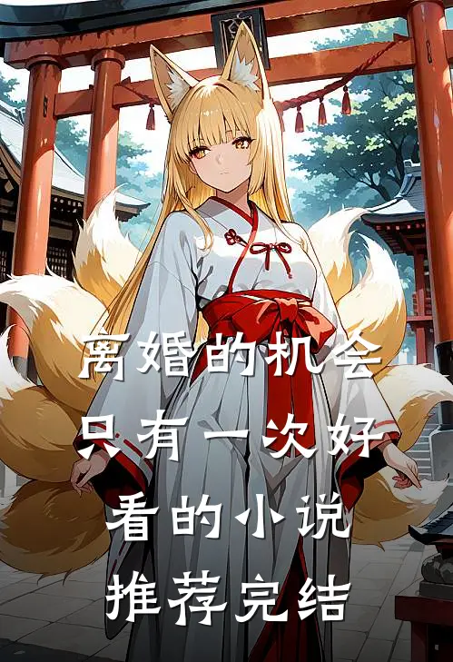离婚的机会只有一次好看的小说推荐完结